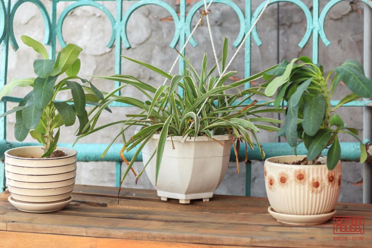 Harmony Homestay - Hanoi Homestay In Old Quarter Eksteriør billede